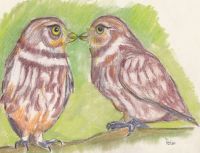 Owl kisses